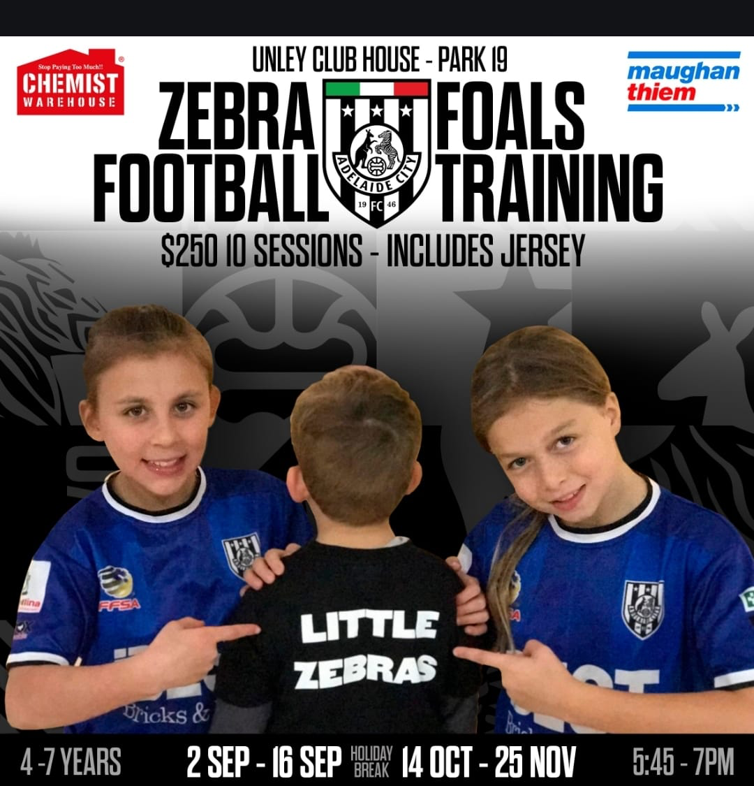 Zebra Foals Football Training